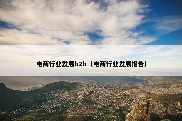 电商行业发展b2b（电商行业发展报告）