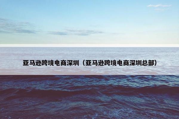 亚马逊跨境电商深圳（亚马逊跨境电商深圳总部）
