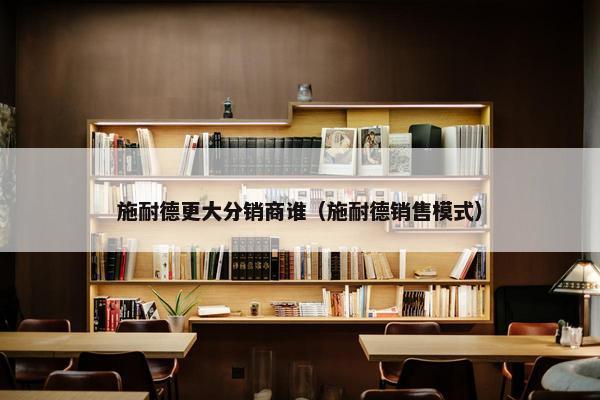 施耐德更大分销商谁（施耐德销售模式）