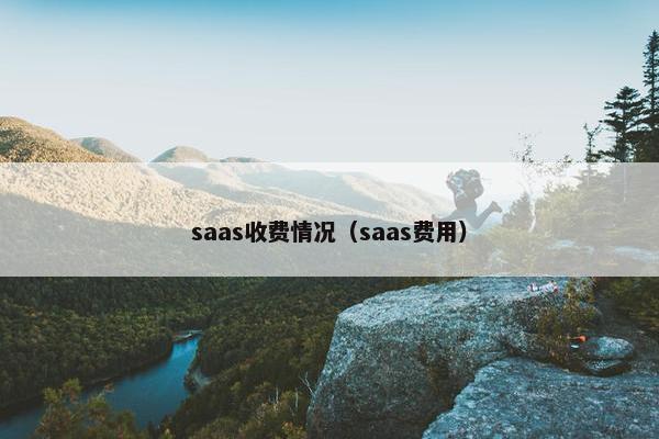 saas收费情况（saas费用）