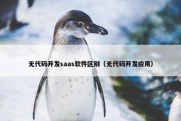 无代码开发saas软件区别（无代码开发应用）