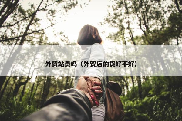 外贸站贵吗（外贸店的货好不好）