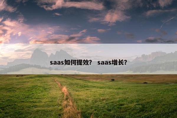 saas如何提效？ saas增长？