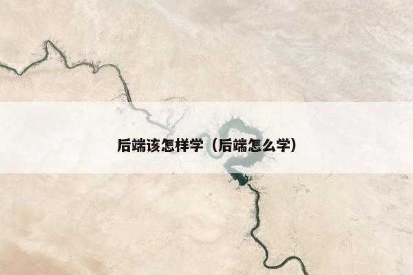 后端该怎样学（后端怎么学）