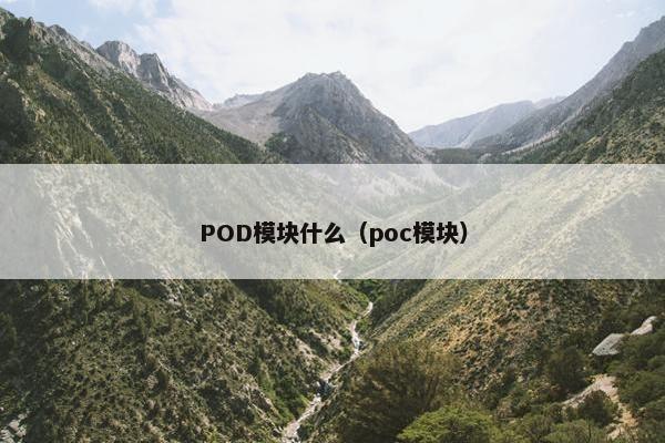 POD模块什么（poc模块）