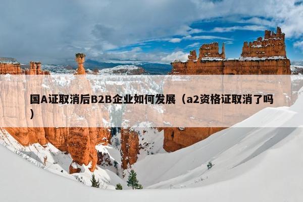 国A证取消后B2B企业如何发展（a2资格证取消了吗）