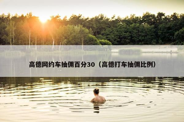 高德网约车抽佣百分30（高德打车抽佣比例）