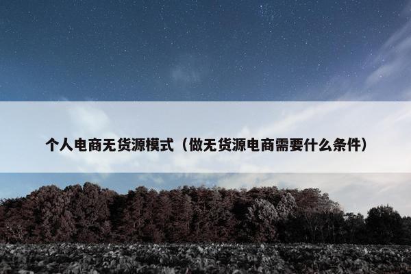 个人电商无货源模式（做无货源电商需要什么条件）