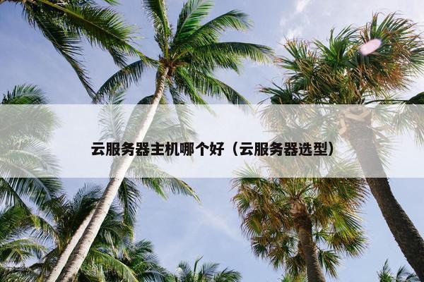 云服务器主机哪个好（云服务器选型）