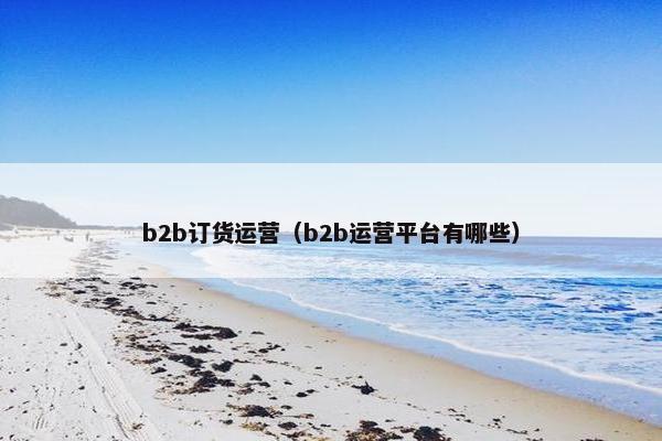 b2b订货运营（b2b运营平台有哪些）