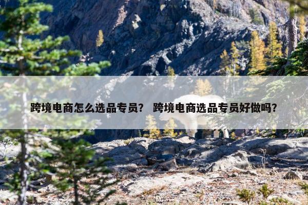 跨境电商怎么选品专员？ 跨境电商选品专员好做吗？