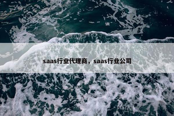 saas行业代理商，saas行业公司