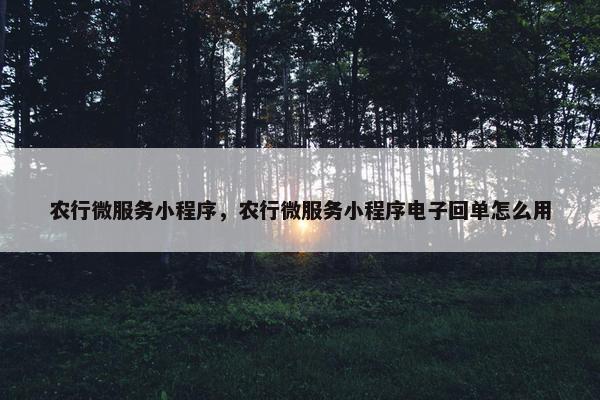 农行微服务小程序，农行微服务小程序电子回单怎么用