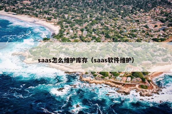 saas怎么维护库存（saas软件维护）
