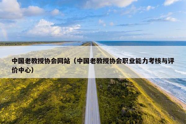中国老教授协会网站（中国老教授协会职业能力考核与评价中心）