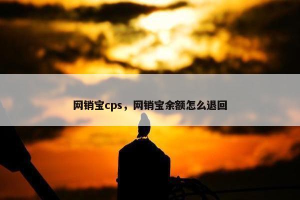 网销宝cps，网销宝余额怎么退回