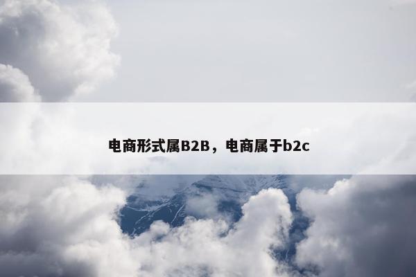 电商形式属B2B，电商属于b2c