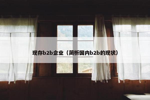 现存b2b企业（简析国内b2b的现状）