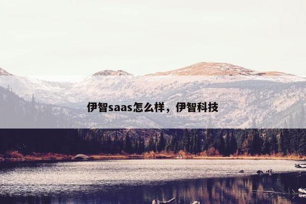 伊智saas怎么样，伊智科技