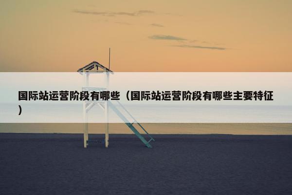 国际站运营阶段有哪些（国际站运营阶段有哪些主要特征）