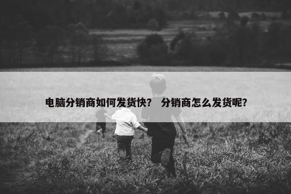 电脑分销商如何发货快？ 分销商怎么发货呢？