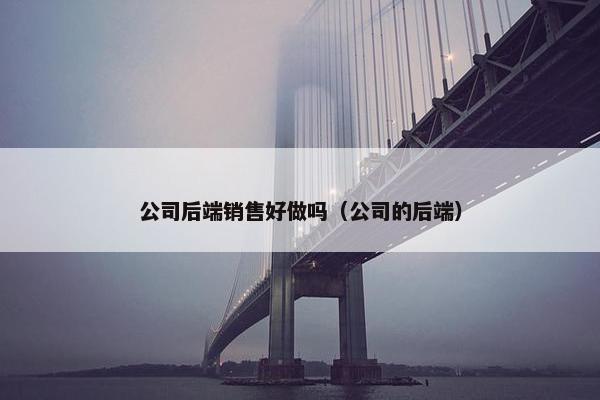 公司后端销售好做吗（公司的后端）