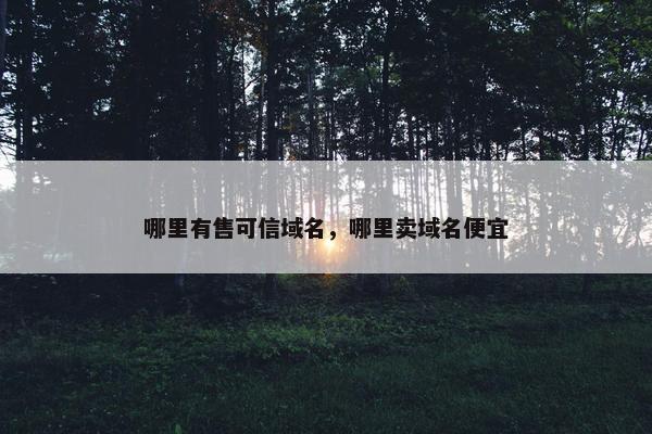 哪里有售可信域名，哪里卖域名便宜