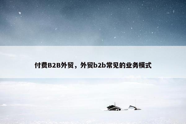 付费B2B外贸，外贸b2b常见的业务模式