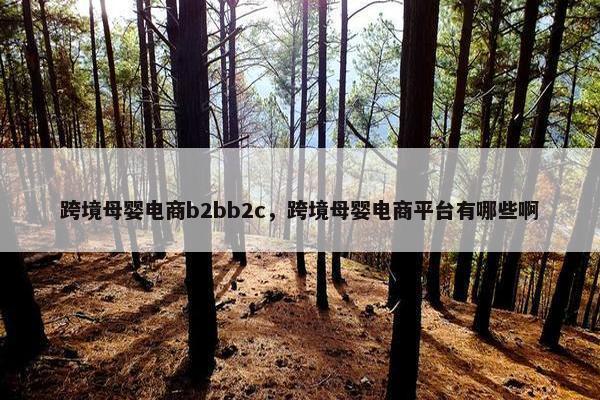 跨境母婴电商b2bb2c，跨境母婴电商平台有哪些啊