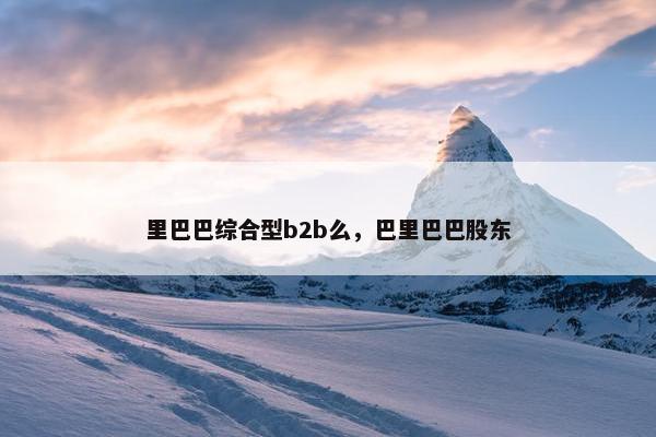 里巴巴综合型b2b么，巴里巴巴股东