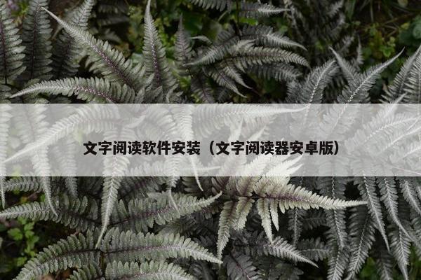 文字阅读软件安装（文字阅读器安卓版）