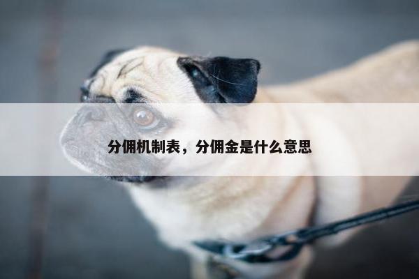 分佣机制表，分佣金是什么意思