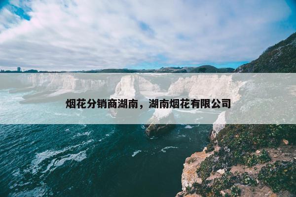 烟花分销商湖南，湖南烟花有限公司