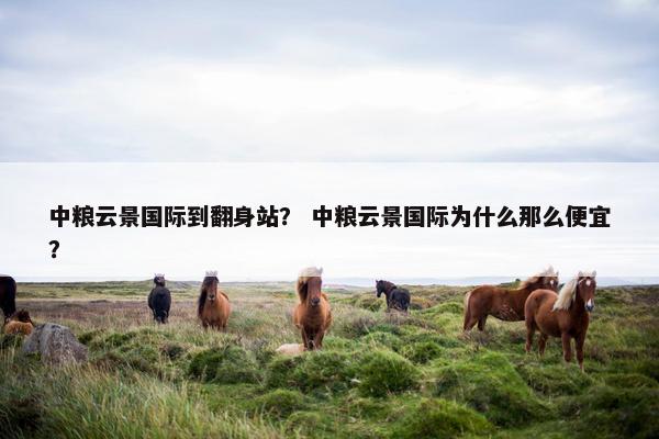 中粮云景国际到翻身站？ 中粮云景国际为什么那么便宜？