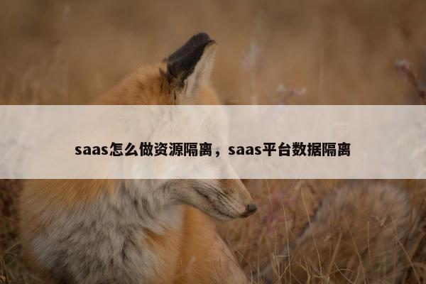 saas怎么做资源隔离，saas平台数据隔离