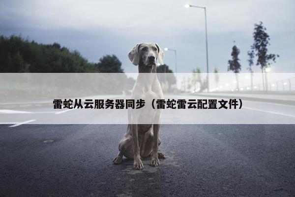 雷蛇从云服务器同步（雷蛇雷云配置文件）