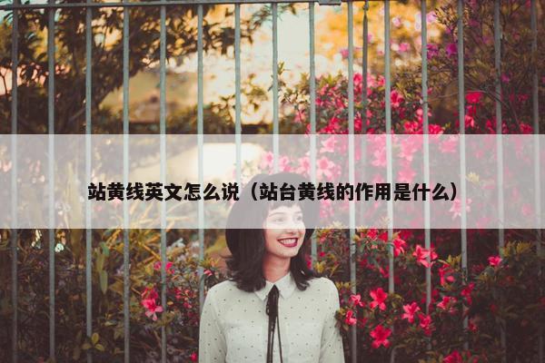 站黄线英文怎么说（站台黄线的作用是什么）
