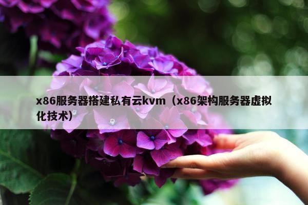 x86服务器搭建私有云kvm（x86架构服务器虚拟化技术）