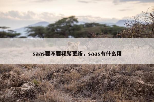 saas要不要频繁更新，saas有什么用