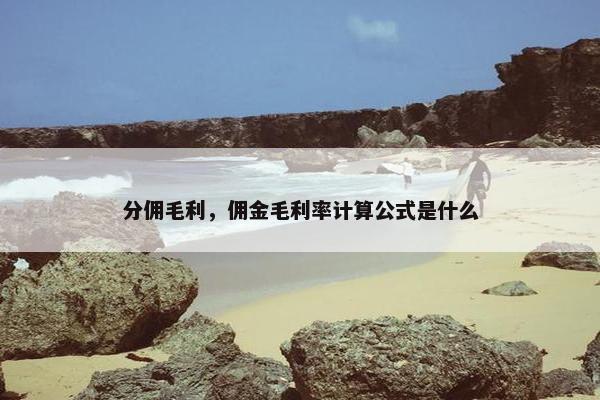 分佣毛利，佣金毛利率计算公式是什么