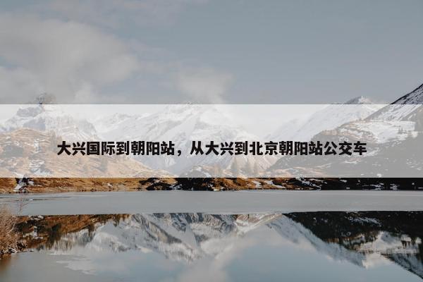 大兴国际到朝阳站，从大兴到北京朝阳站公交车