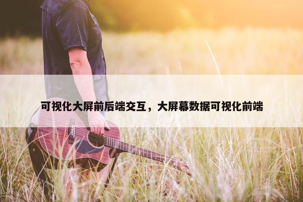 可视化大屏前后端交互，大屏幕数据可视化前端