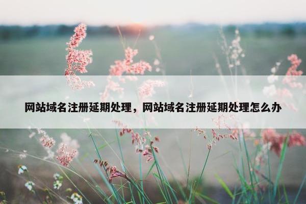 网站域名注册延期处理，网站域名注册延期处理怎么办