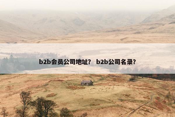 b2b会员公司地址？ b2b公司名录？