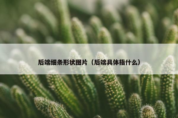 后端细条形状图片（后端具体指什么）