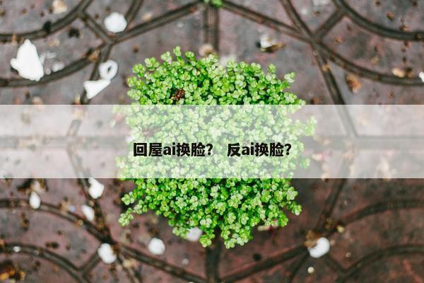 回屋ai换脸？ 反ai换脸？