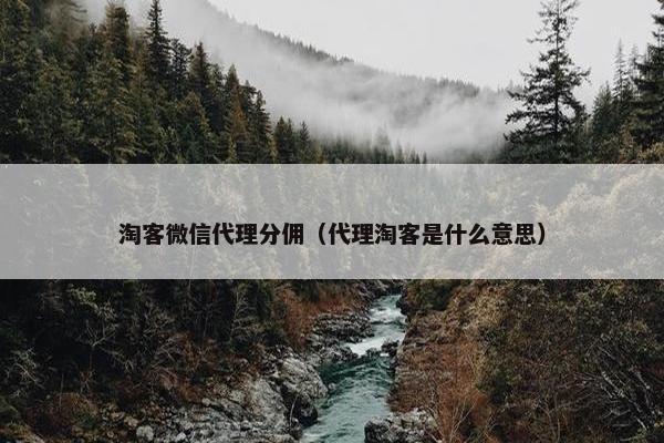 淘客微信代理分佣（代理淘客是什么意思）