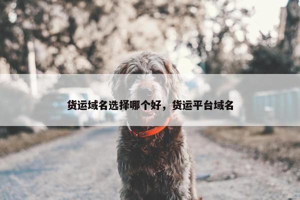 货运域名选择哪个好，货运平台域名