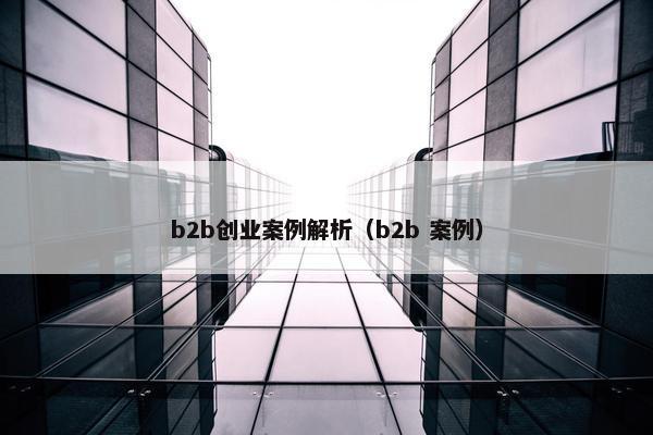 b2b创业案例解析（b2b 案例）