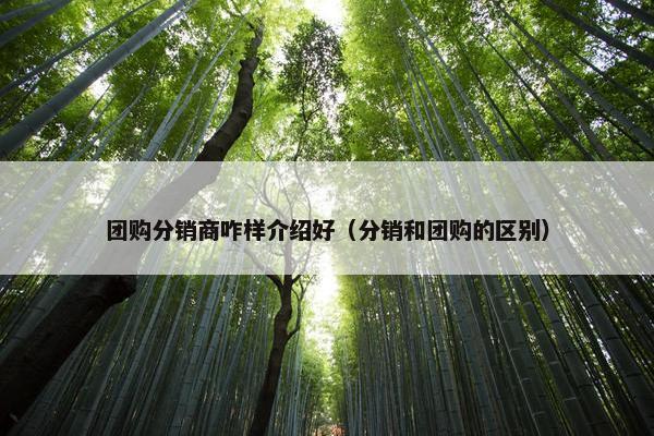 团购分销商咋样介绍好（分销和团购的区别）